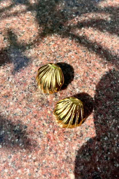 Shellbound Studs