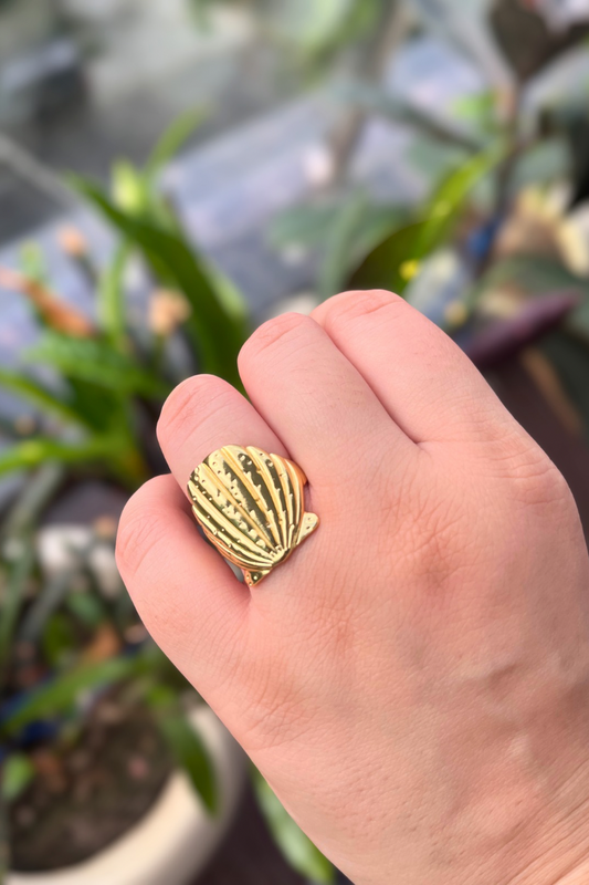 Shell bound Ring
